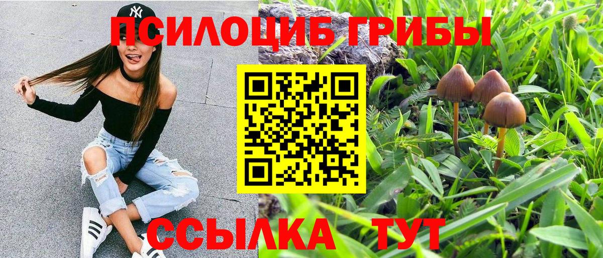 Галлюциногенные грибы мицелий  Вход с VPN  Верхняя Салда 